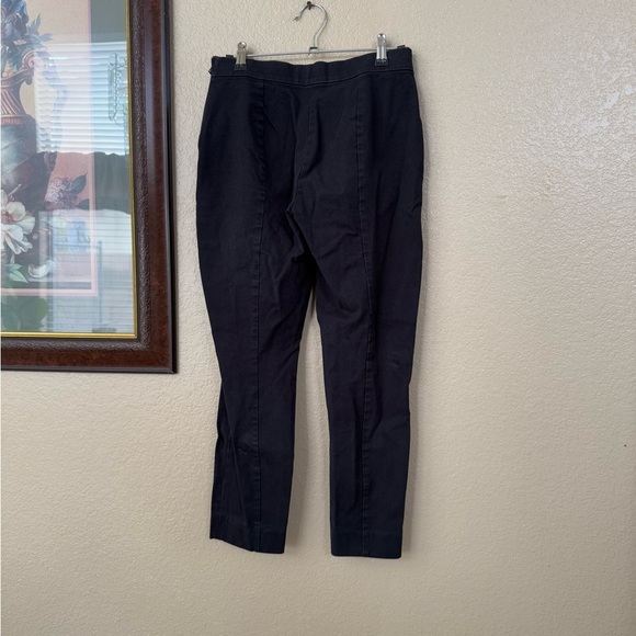 Everlane The Size Zip Skinny Pants Size 2 - Picture 3 of 4